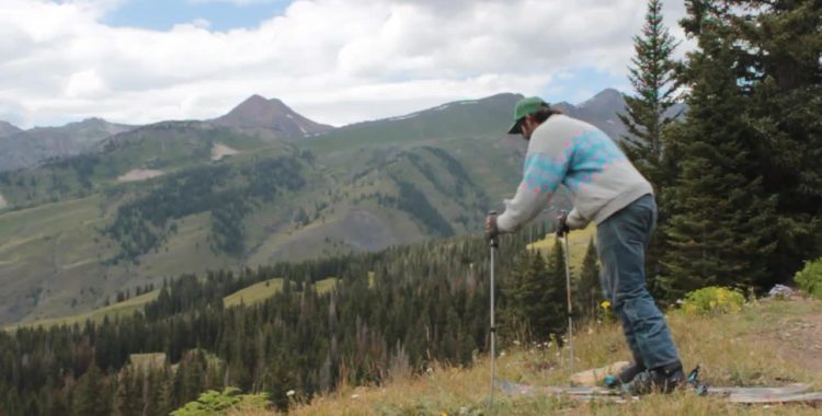 Fota din skidabstinens