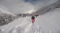 Fjordmys med Petter och Sverre