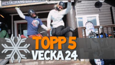 TOPP 5: VECKA 24