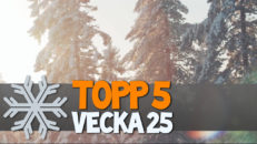 Topp 5: Vecka 25