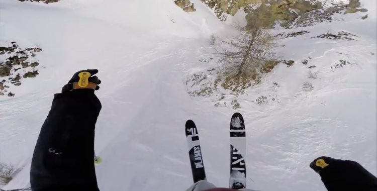 Leo ovan trädtopparna