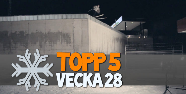 Varianten svinhög closeout