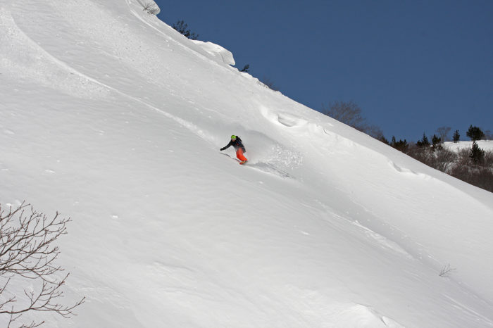 När det drar sig mot mars brukar våren göra sig påmind