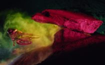 Darklight – Ny magi med Sweetgrass