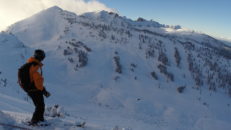 80 cm puderyra i Kicking Horse