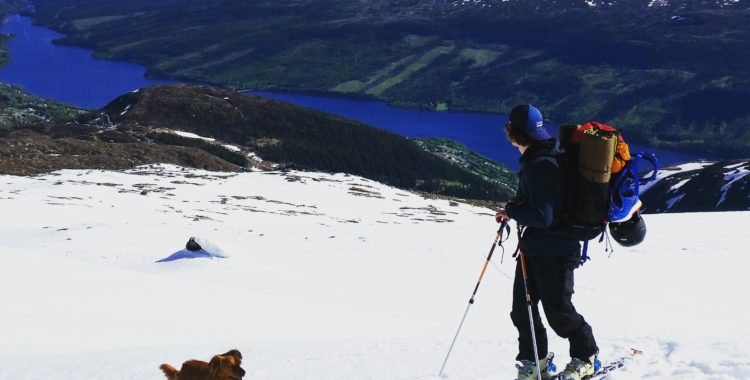 Rönngren med blick och målsättning högt upp