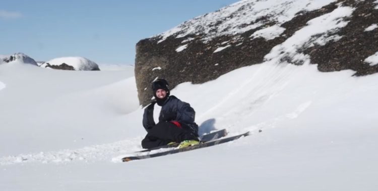 Harlaut i El Calafate