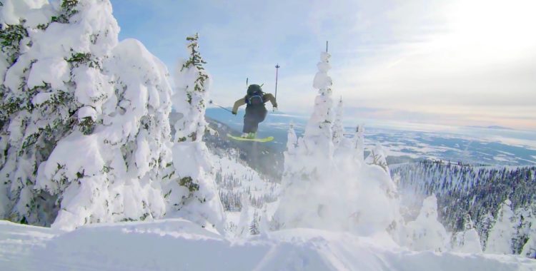 F.d. pipestjärnan högt bland träden