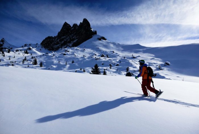 Toppturare är EJ rojalister