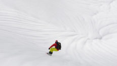 Vem fan är Daniel Furberg?