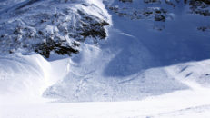 Alperna: 28 döda i Laviner denna vinter