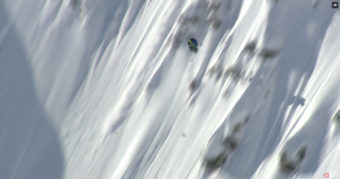 Reine flyger