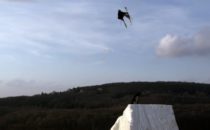 Quadruplets på snöfest