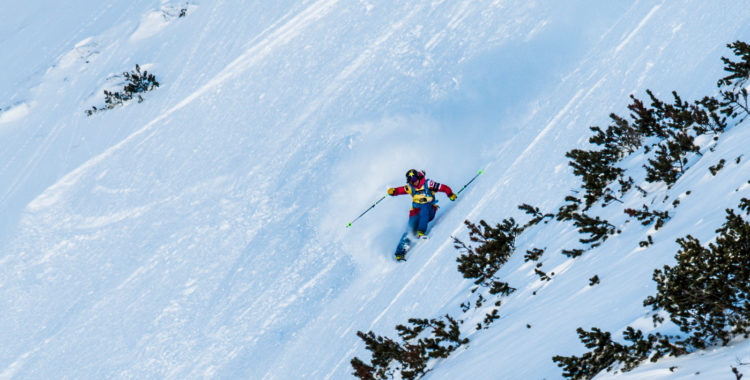 Facet i Fiberbrunn förra året