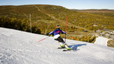 Snölagring, framtidens lösning för vitare vintrar?