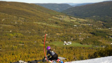 Terje Bj&oslash;rnsen