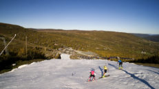 Terje Bj&oslash;rnsen