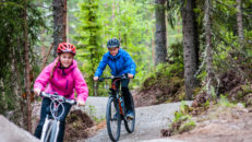 Hans Martin Nys&aelig;ter, Destinasjon Trysil