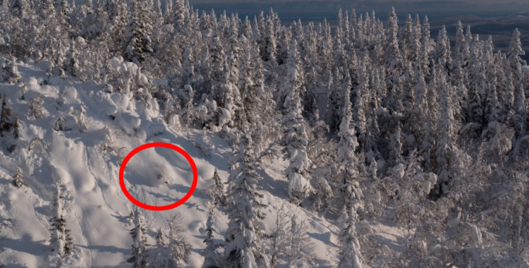 Johan Jonsson draws blood i Bydalen