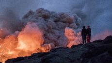 Colab Creative &amp; The North Face