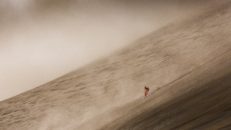 Colab Creative &amp; The North Face