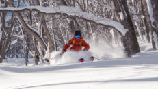 Snöiga vykort från Madarao