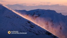 Hur bra lavinkunskap har du egentligen?