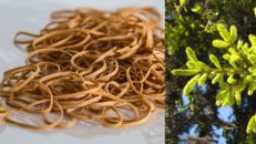 FORUM: Kan man tura utan stighudar?