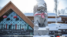 FWT i KINA nästa vinter?