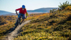 Fem trender i sommarfjällen