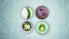 Ätbara Kläder – Houdini tar biologiskt nedbrytbart till en ny nivå