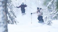 Skogspuder, park & rails i Älvdalen