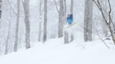 Olle Regnér fortsätter tävla på kvaltouren 2018