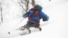 BEIARN: Berget som aldrig blev