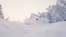 Färska & snöiga bilder från Myrkdalen