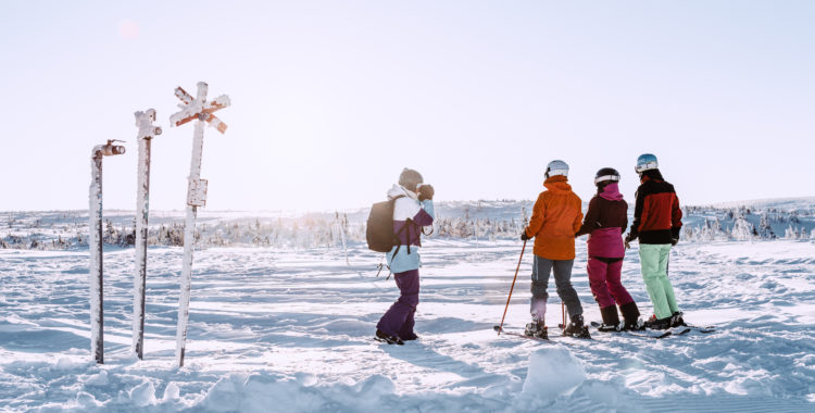 Vintrigt landskap och fotovänligt ljus i Lindvallen.