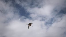 TRICKTIPS: Cork 900 med Jesper Tjäder