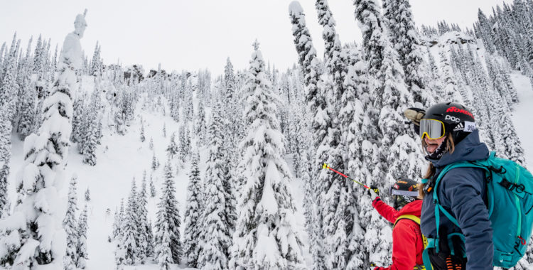 Rekning i skogen i Revelstoke. 