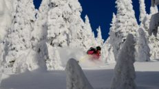 Här är de 12 kvaltoursåkare som tar steget upp nästa vinter