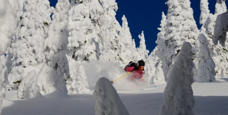 Juliette Willman är ÄNNU en fransk medborgare tar sig till världstouren och som under vintern slog de svenska kvalande skiddamer som Sanne Mona, Caroline Strömberg mfl.