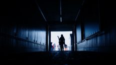 Hur går Hedvigs väg?