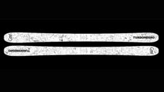 Snoppskida ska hjälpa regnskogen på Borneo