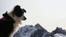 Big Mountain-godis från Sydamerika