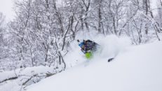 Puderlycka i skogen på Brandstad