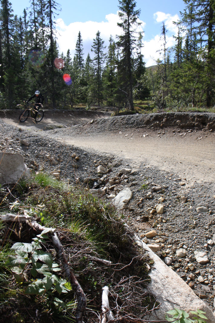 Olve Norderhaug cyklar igenom ett skogigt parti med flera kurvor på Magic Moose.