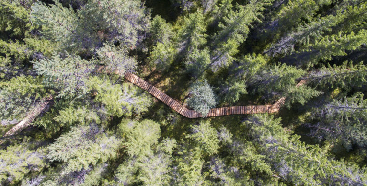 Där nedan skymtar Miss Piggy-leden.