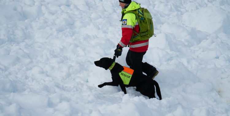 Bilden är ej från olyckan.  Skidåkaren i Jaun, Schweiz räddades med RECCO-sökare och lavinhund.