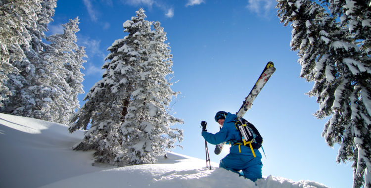 Expert Halo: En cool skidåkare med lite karisma och ledaregenskaper kan både leda dig rätt och helt jävla fel.