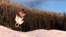 Samuel Ålander – Kimbosessions 2019