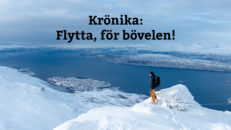 Krönika: Flytta, för bövelen!